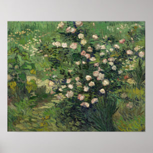 Van Gogh - Rosen Poster