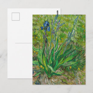 Van Gogh Schwertlilien - Klassische blaue Blumenku Postkarte