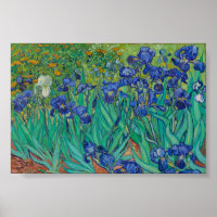 Van Gogh Schwertlilien