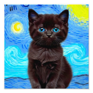 Van Gogh Starry Night Black Cat Fotodruck