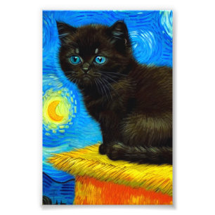 Van Gogh Style Starry Night Cat Fotodruck