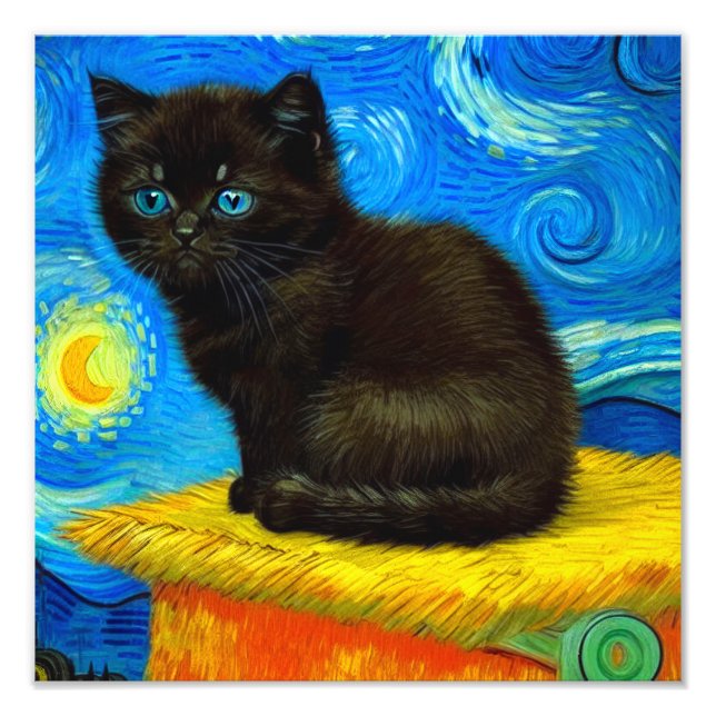 Van Gogh Style Starry Night Cat Fotodruck (Vorne)