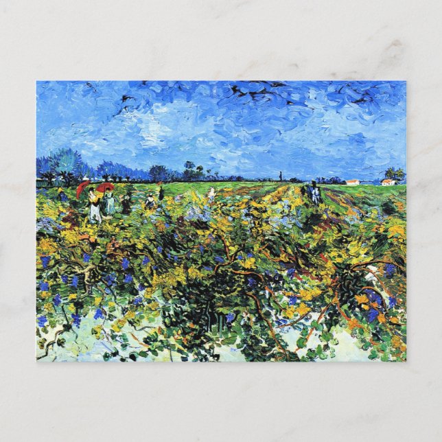 Van Gogh - The Green Vineyard, 1888, Arles Postkarte (Vorderseite)