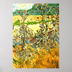 Van Gogh - Thistles, 1888 Vintage Malerei Poster