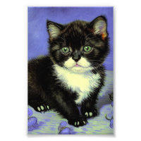 Van Gogh Tuxedo Kitten