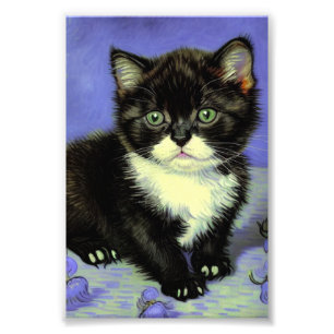 Van Gogh Tuxedo Kitten Fotodruck