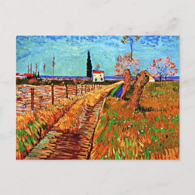 Van Gogh - Weg durch ein Feld mit Willows Postkarte (Vorderseite)