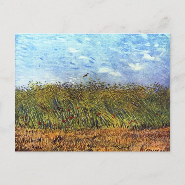 Van Gogh: Weizenfeld mit Poppies und Lark Postkarte (Vorderseite)