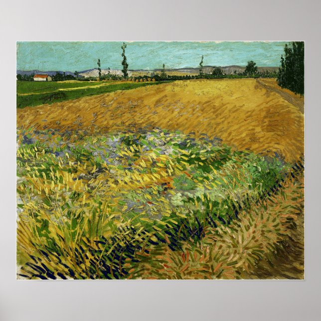 Van Gogh - Wheatfield Poster (Vorne)