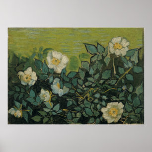 Van Gogh - Wilde Rose Poster
