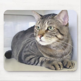 Van Helsing Mousepad