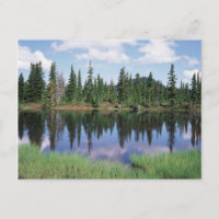 Vancouver Island, Strathcona Provincial Park 2