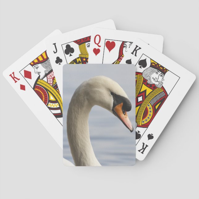 Vancouver, Stanley-Park, stummer Schwan (Cygnus Spielkarten (Rückseite)