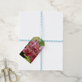Vanda Orchid Cluster Geburtstagsgeschenk-Tag Geschenkanhänger