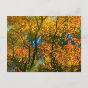 VanDusen Botanical Garden Vancouver, Canada Postkarte