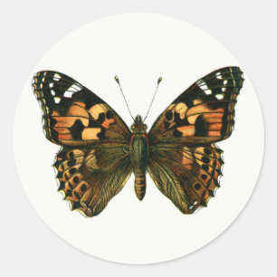 Vanessa cardui - Die gemalte Lady Butterfly Keycha Runder Aufkleber