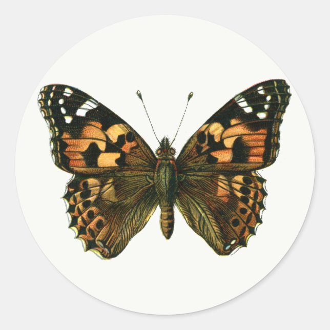 Vanessa cardui - Die gemalte Lady Butterfly Keycha Runder Aufkleber (Vorderseite)