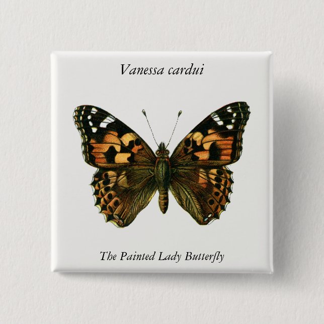 Vanessa cardui - The Painted Lady Butterfly Button (Vorderseite)