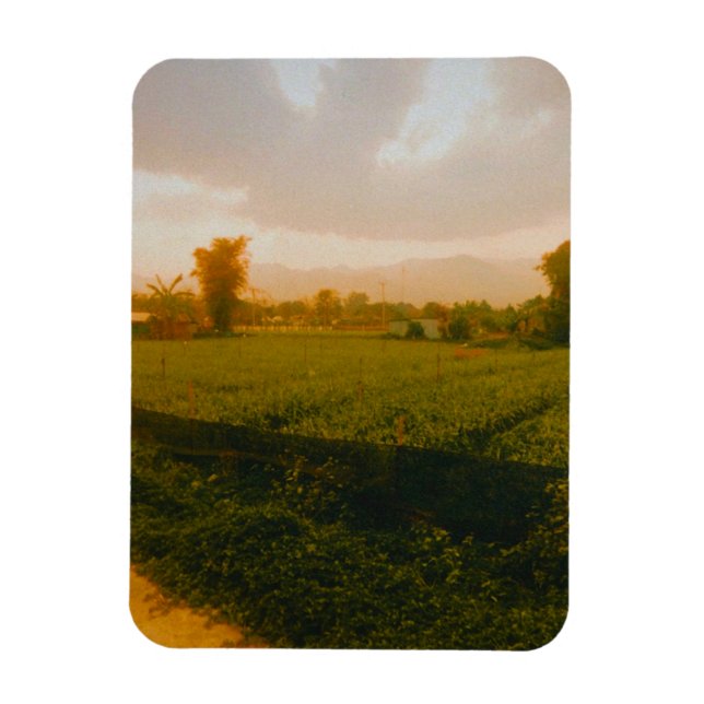 Vang Vieng - Laos  Magnet (Vertikal)