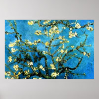 VanGogh Mandelbaum Blütenposter