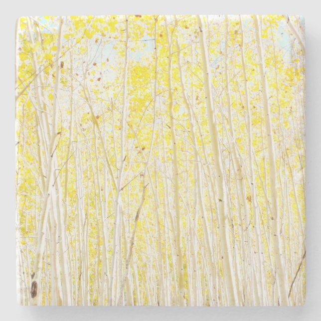 Vanilla Cake Aspen Steinuntersetzer (Vorderseite)