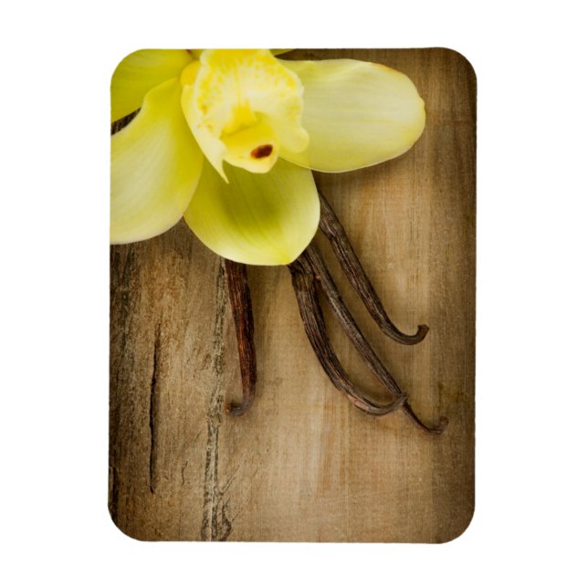 Vanilla Pods und Blume über Holzgelände Magnet (Vertikal)