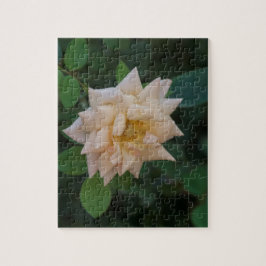 Vanilla-Rose