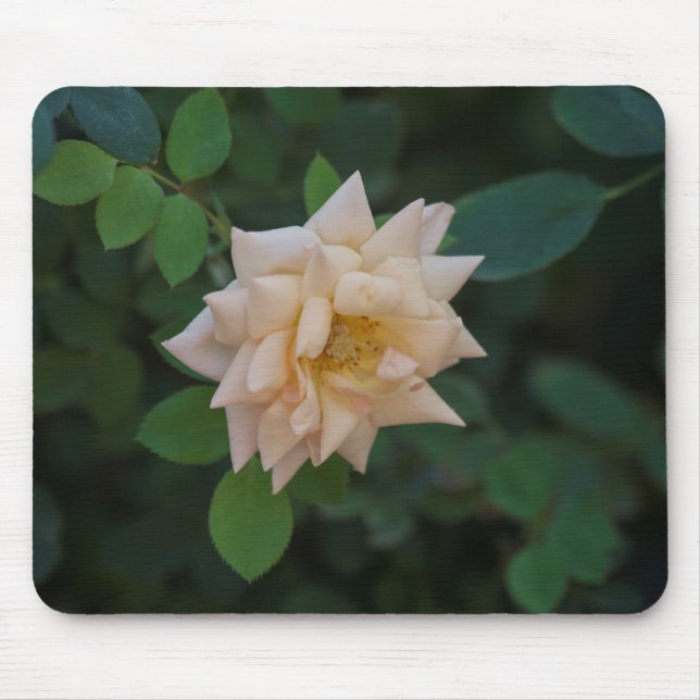 Vanilla-Rose Mousepad (Vorne)