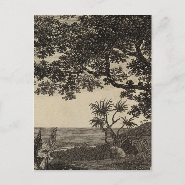 Vanuatu 3 postkarte (Vorderseite)