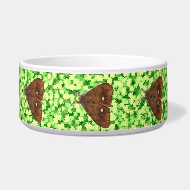 Vapourer Moth Dog Bowl Napf (Links)