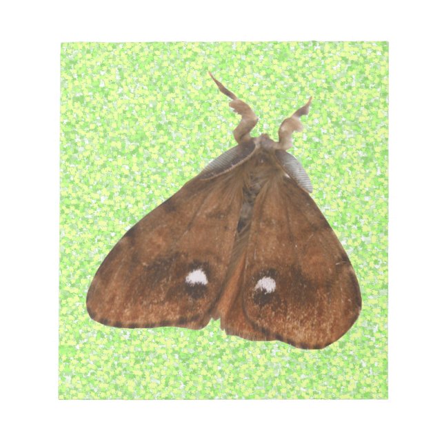 Vapourer Moth Notepad Notizblock (Vorderseite)