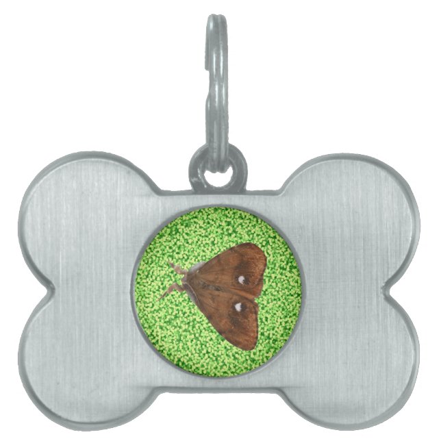 Vapourer Moth Pet Tag Tiermarke (Vorderseite)