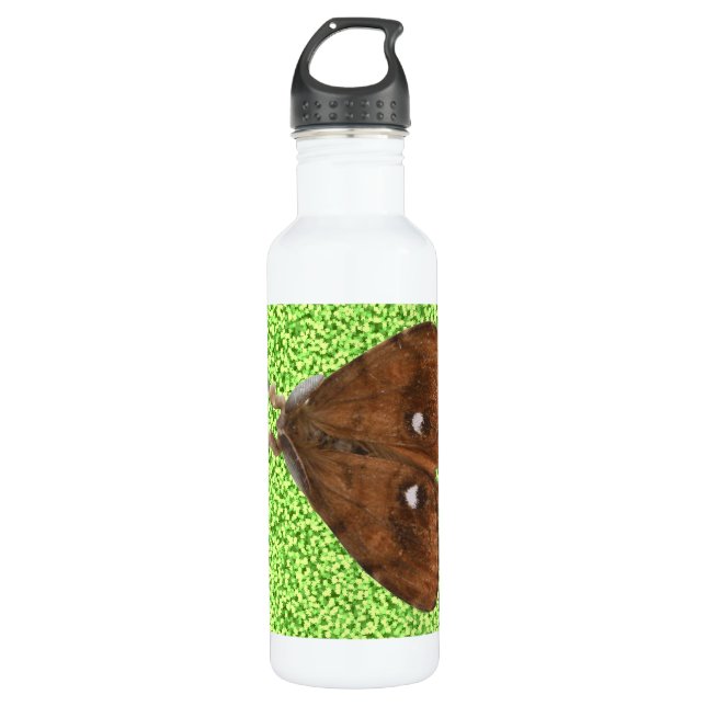 Vapourer Moth Trinkflasche (Vorderseite)
