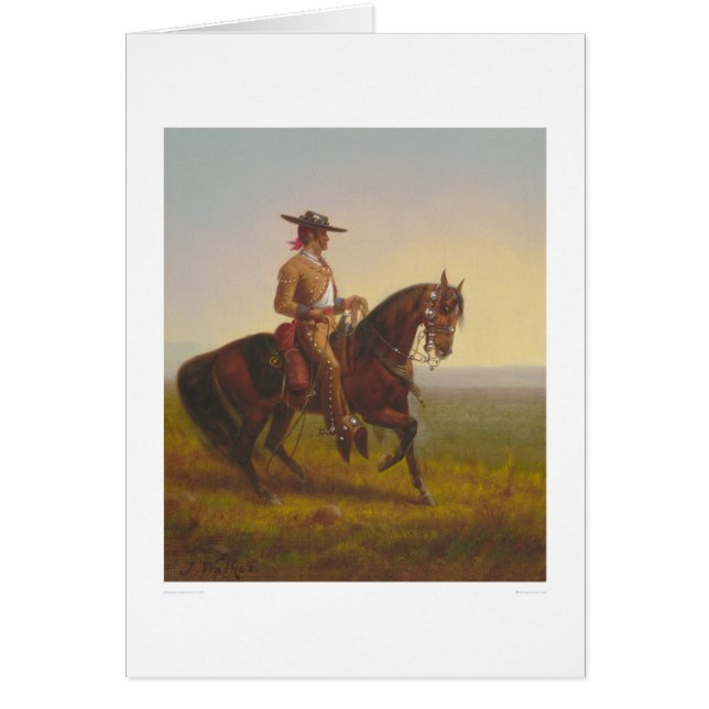 Vaquero (1164) (Devant)