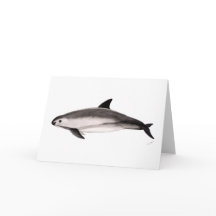 Vaquita