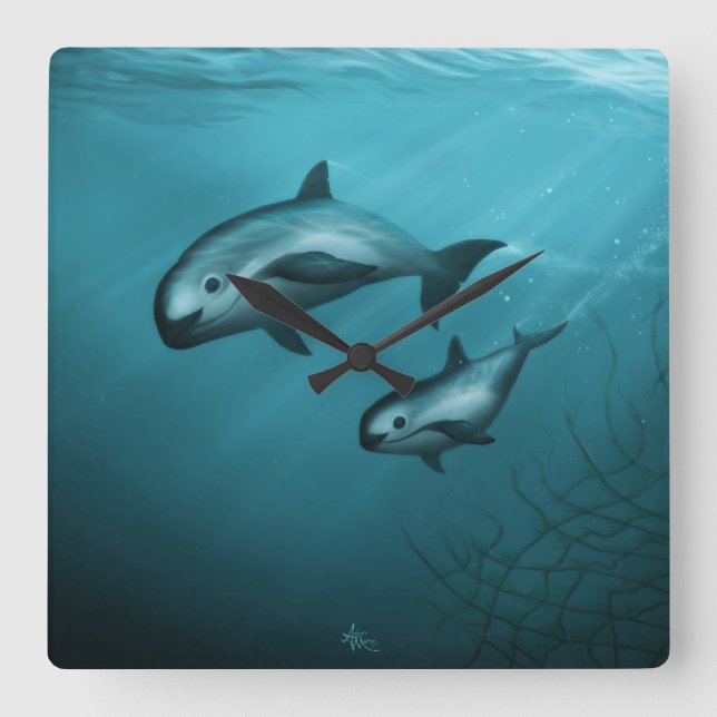 Vaquita Porpoises Quadratische Wanduhr (Vorderseite)
