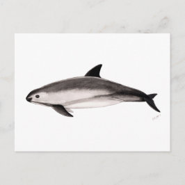 Vaquita Postkarte