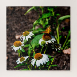 Variegated Fritillary Butterfly