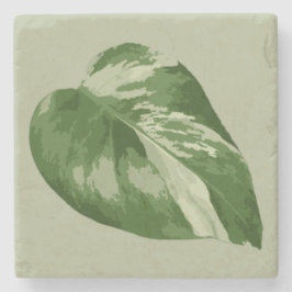 Variegated Monstera Leaf – Real Plant Art Steinuntersetzer