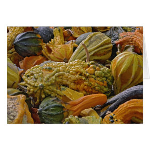 Variété de courge