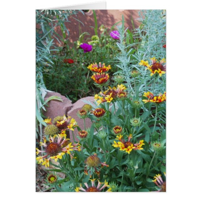 VARIÉTÉ DE JARDIN (Devant)