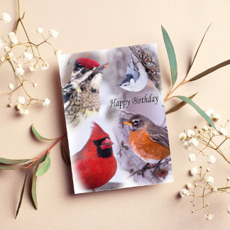 Variété D'Oiseaux Bonne Carte D'Anniversaire