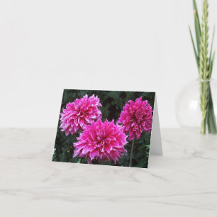 Variété intérieure de cartes de note de blanc de