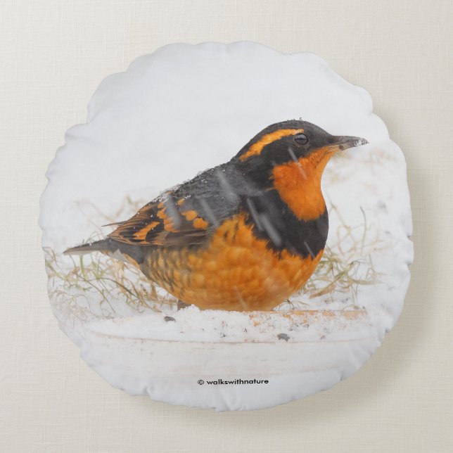 Varieté Thrush Songbird am Snowy Winter Day Rundes Kissen (Vorderseite)