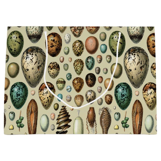 Various kinds of Egg Scientific Illustration Große Geschenktüte (Vorderseite)