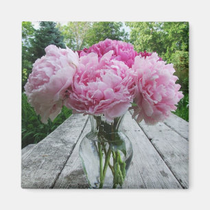 Vase des rosa Pfingstrosen-quadratischen Magneten Magnet