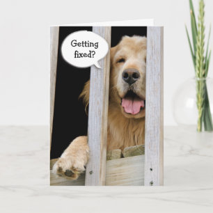 Vasectomy Humor Karte