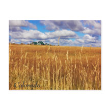 Vast Colorado