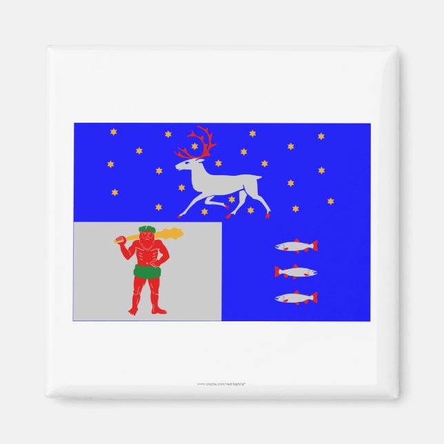 Västerbottens län flag magnet (Vorne)