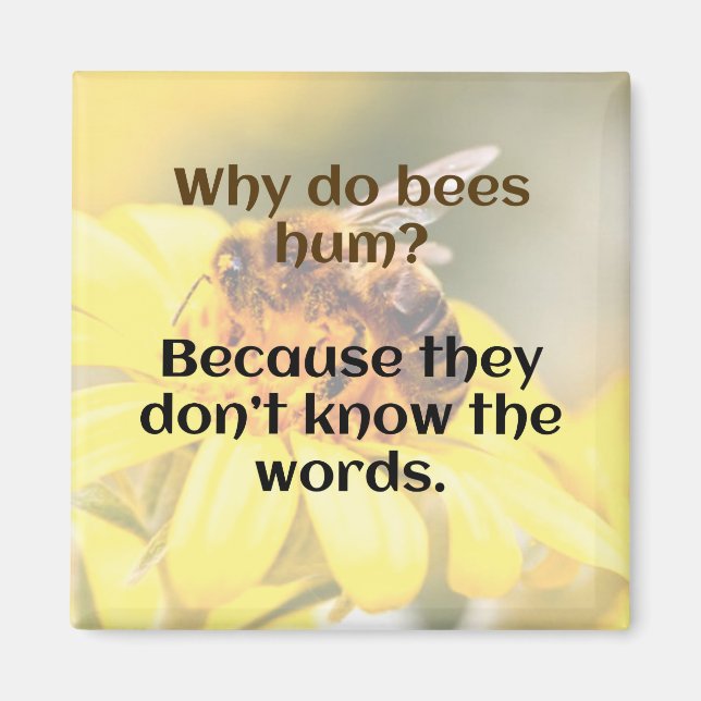 VATER JOKE: Warum hummen Bienen? Magnet (Vorne)